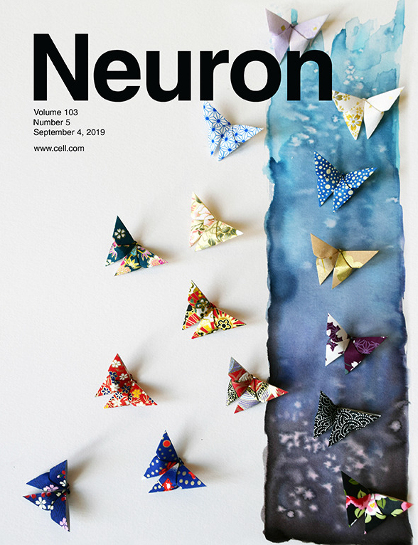Neuron Cover Story 